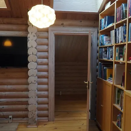 The Log *